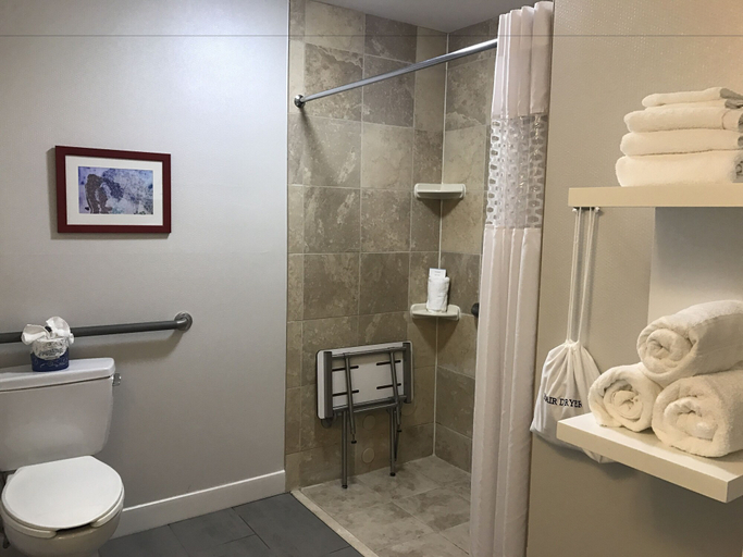 Bathroom 4, Hampton Inn East Windsor, Mercer