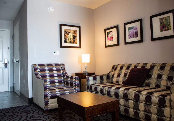 Others 5, Comfort Inn & Suites Lovington, Lea