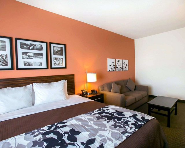 Bedroom 3, Sleep Inn & Suites Austin Northeast, Travis