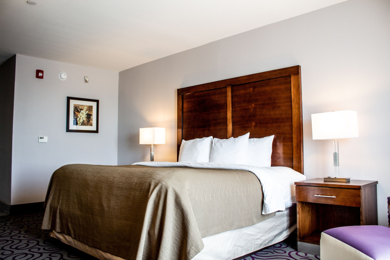 Bedroom 3, Comfort Inn & Suites Lovington, Lea