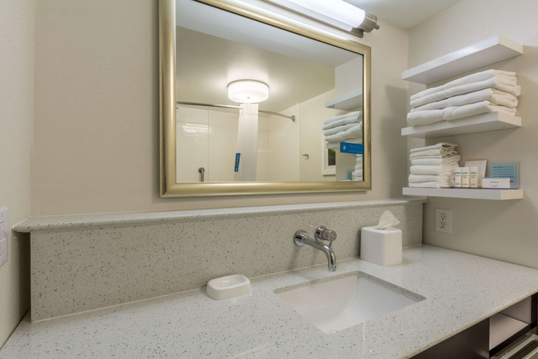 Bathroom 4, Hampton Inn Jackson/Pearl-International Airport, Rankin