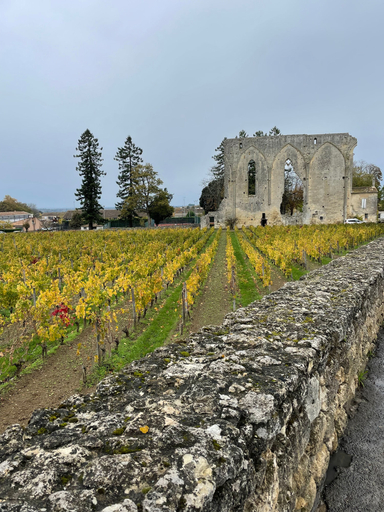 Others 3, Les 2 Glycines, Gironde