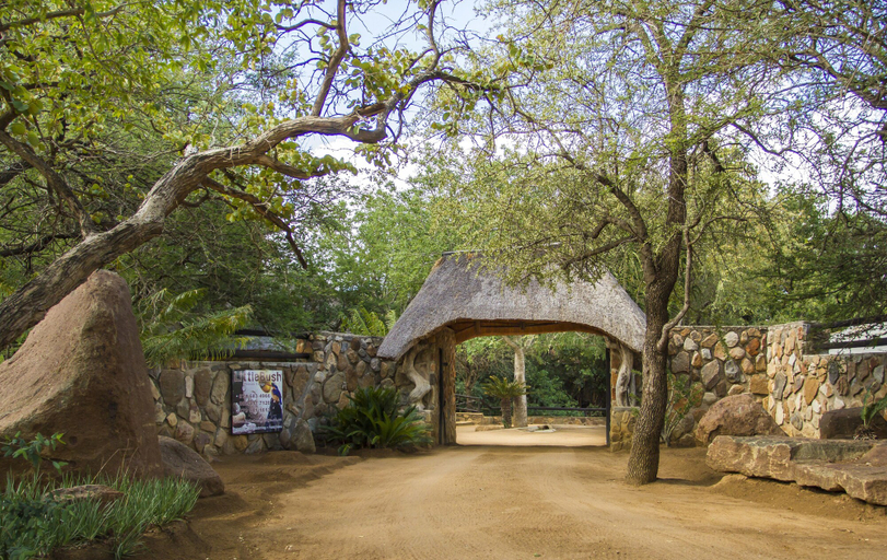 Others 5, LittleBush Private Lodge, Mopani