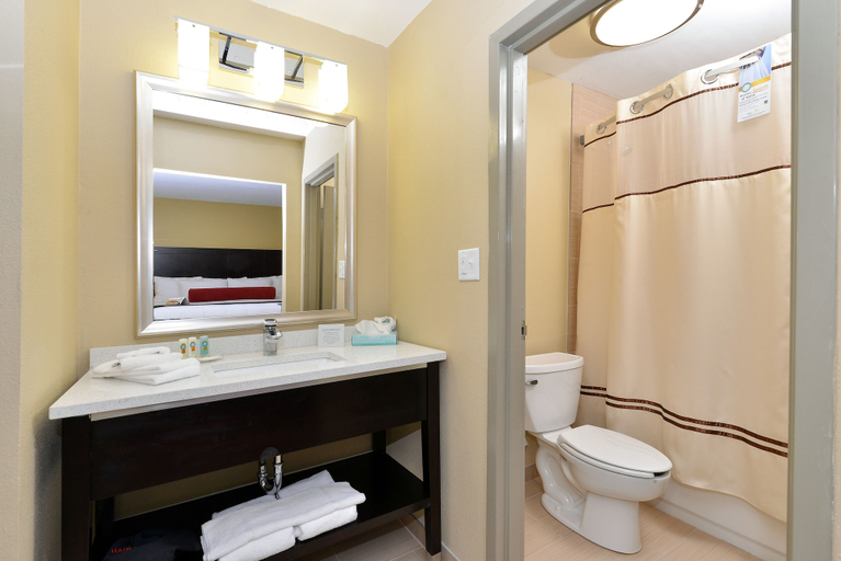 Bathroom 4, Quality Suites Nashville Airport, Davidson