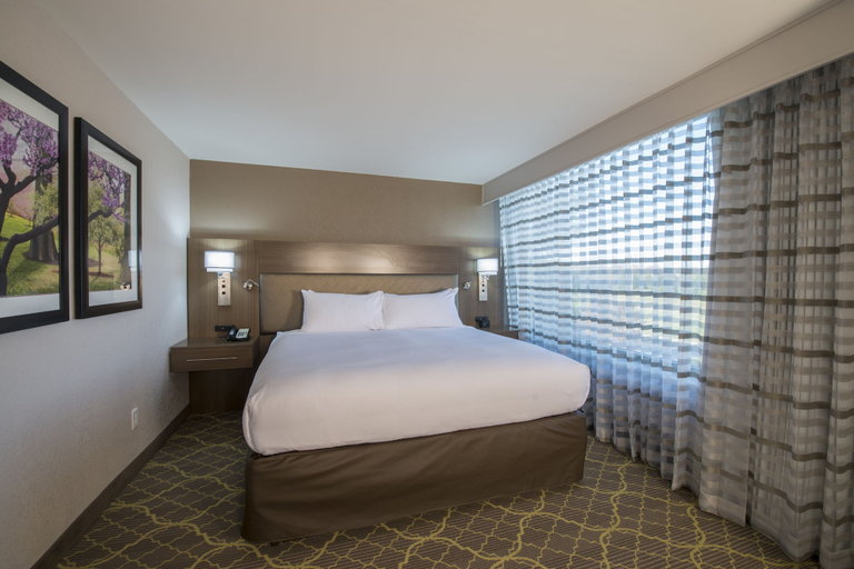 Bedroom 3, DoubleTree by Hilton Winston Salem - University, Forsyth