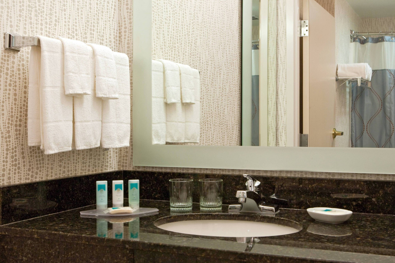 Bathroom 3, SpringHill Suites by Marriott Tarrytown Westchester County, Westchester