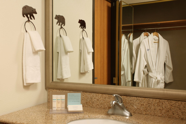 Bathroom 5, Hampton Inn Kalispell, Flathead