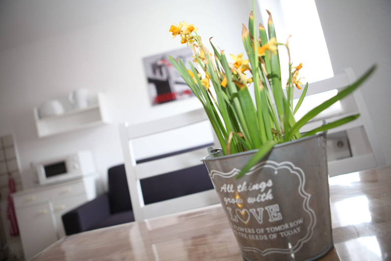Others 4, Bermuda Apartment Bochum City, Bochum