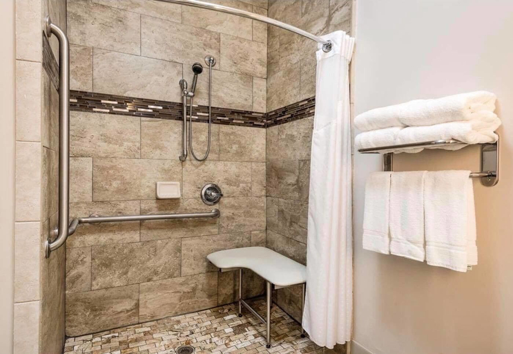 Bathroom 5, Holiday Inn Express & Suites BARTOW by IHG, Polk