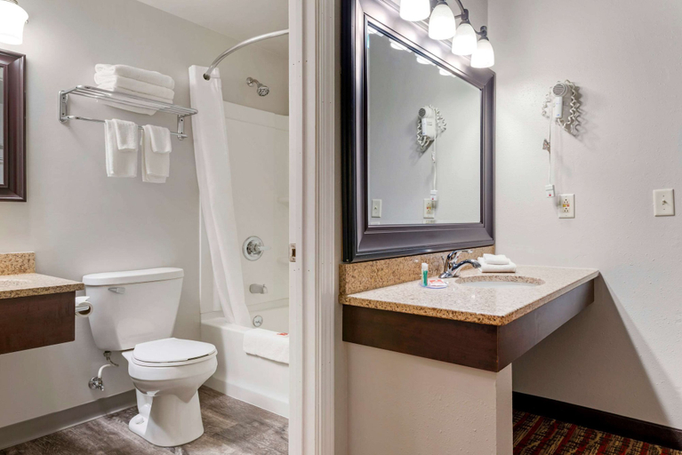Bathroom 4, Econo Lodge Lakeview, Marquette
