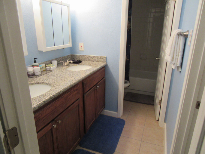 Bathroom, Cozy Manor, Bexar