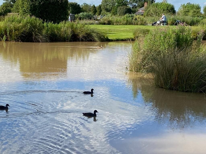 Others 4, New Farm Holidays, Cheshire East