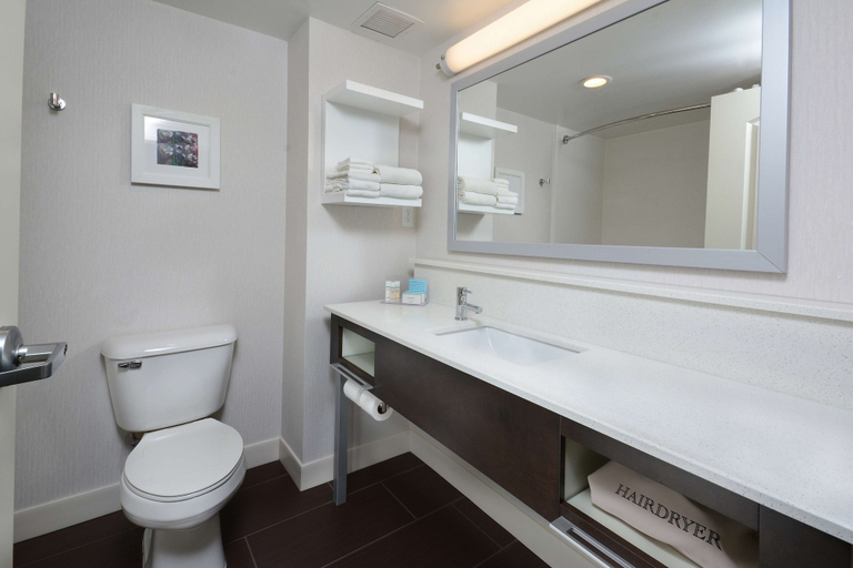 Bathroom 4, Hampton Inn Roxboro, Person