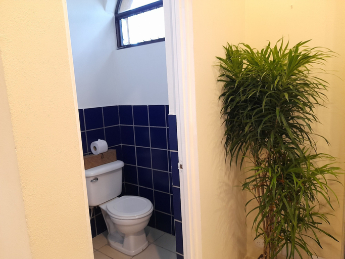 Bathroom 4, Zulu Surf Hotel, Santa Cruz