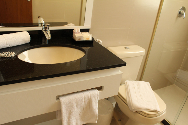 Bathroom 4, Grande Hotel Petrópolis, Petrópolis