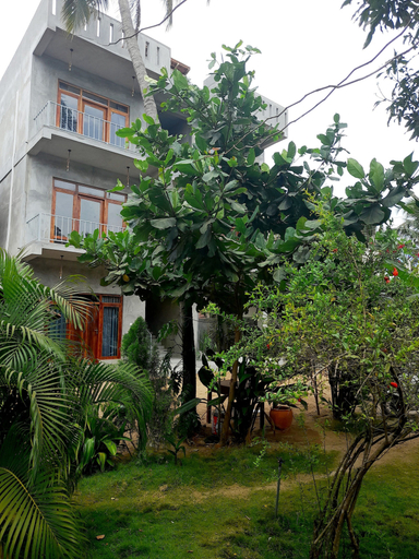 Exterior & Views 2, Surf Gangs Hotel, Pothuvil