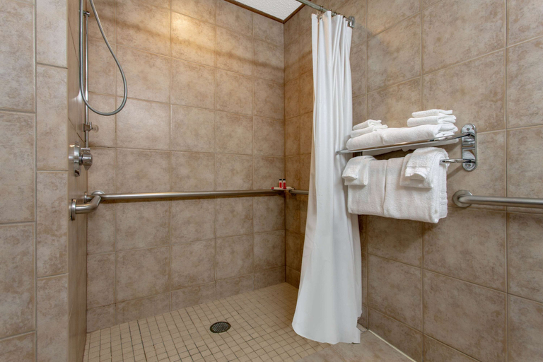 Bathroom 4, Microtel Inn & Suites by Wyndham Lillington / Campbell Univ, Harnett