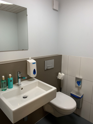 Bathroom 3, Berghaus Niederhorn, Interlaken