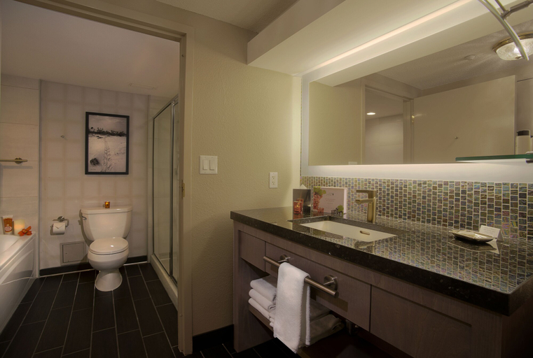 Bathroom 4, Palace Casino Resort, Harrison