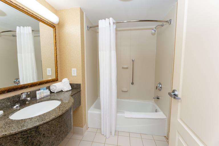 Bathroom 5, Hampton Inn Lawrenceville Duluth, Gwinnett