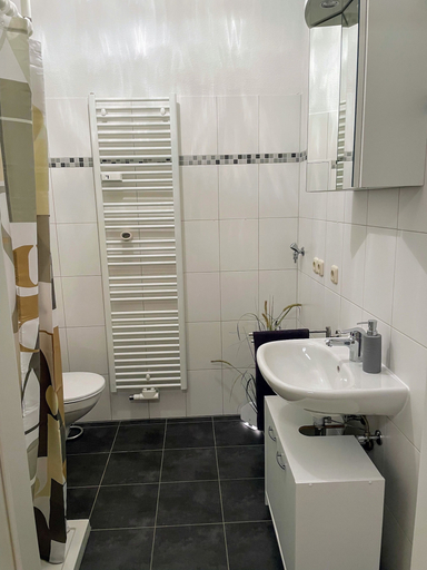 Bathroom 4, Apartment zur Wiege Anhalts, Harz