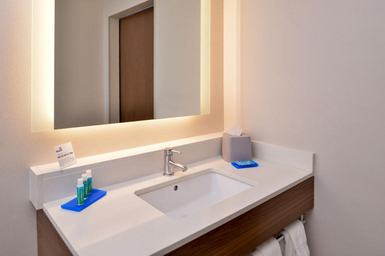 Bathroom 4, Holiday Inn Express & Suites VAN HORN by IHG, Culberson