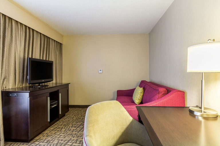 Others 5, Hampton Inn Jackson/Pearl-International Airport, Rankin