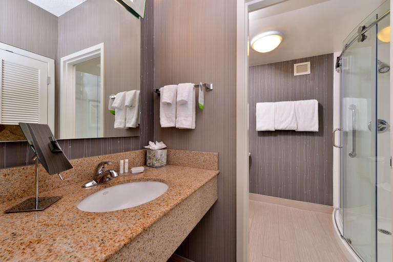 Bathroom 4, Courtyard by Marriott Dallas Northwest, Dallas