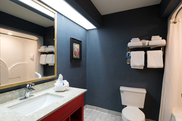 Bathroom 5, Wildwood Lodge, Polk