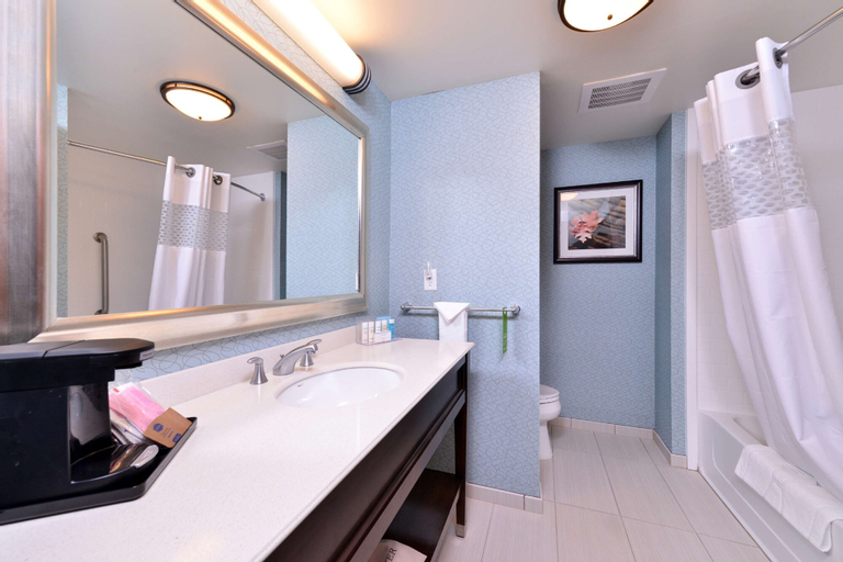 Bedroom 4, Hampton Inn Rome, Oneida