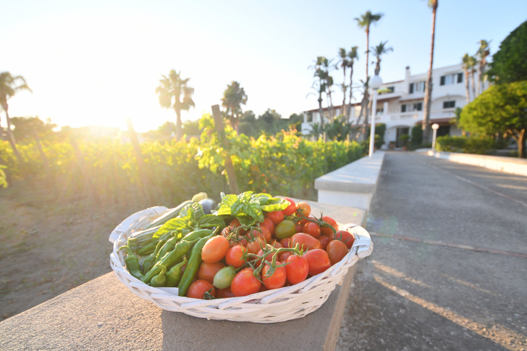Food & Drinks, Residence San Domenico, Napoli