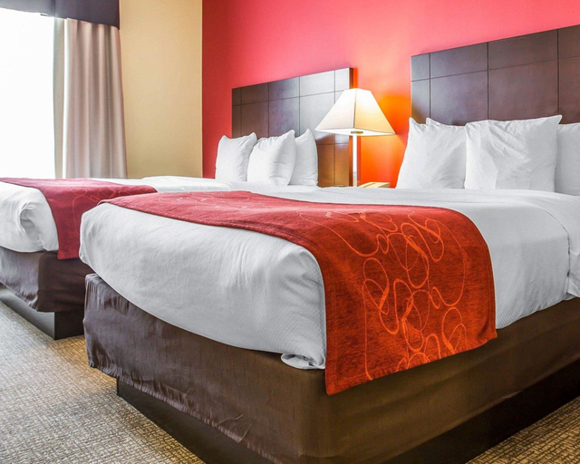 Bedroom 4, Comfort Suites Rock Hill Manchester Meadows Area, York
