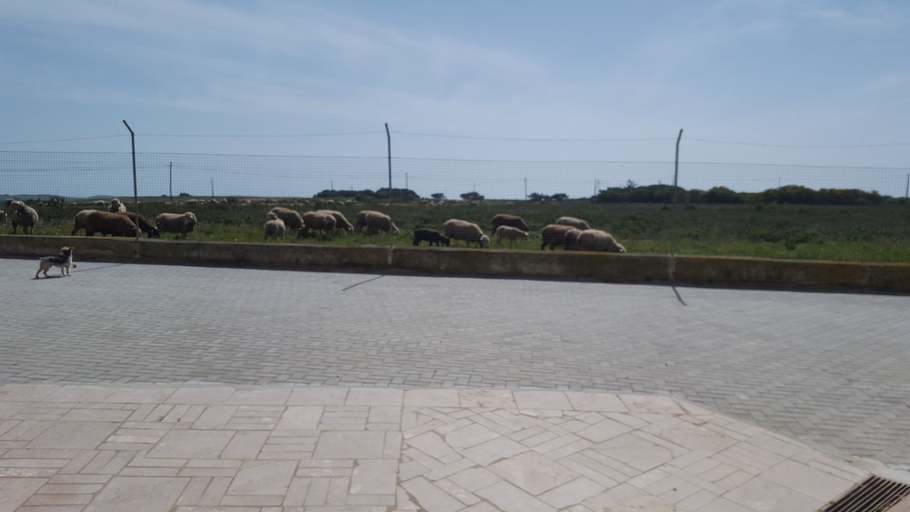 Sport & Beauty, Abrigo das Nortadas, Vila do Bispo