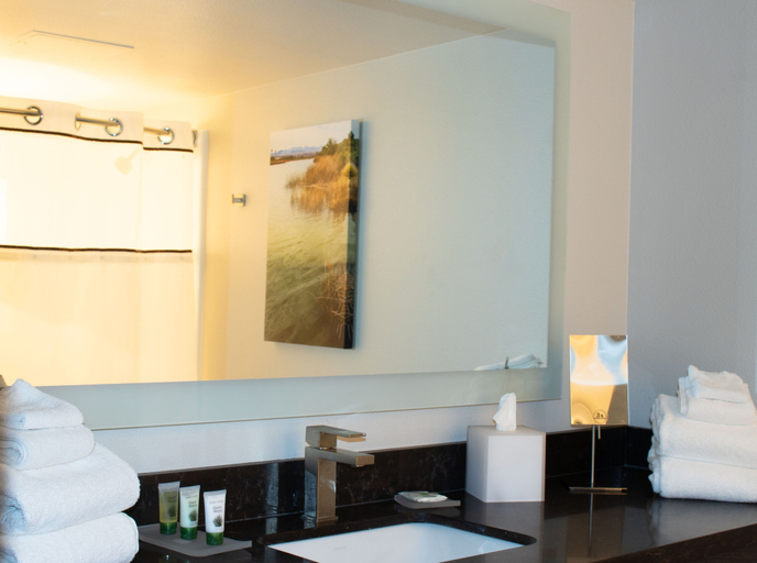Bathroom 4, Avi Resort & Casino, Clark