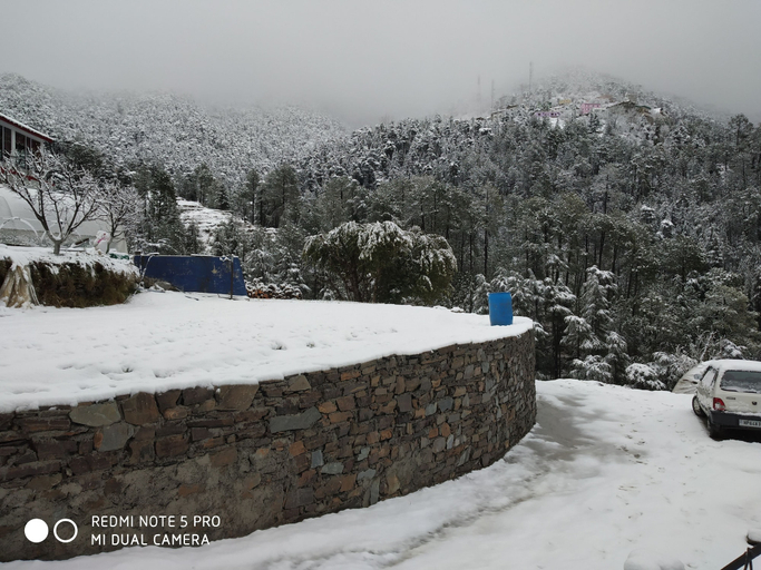 Others 5, Mountain View Resort, Solan