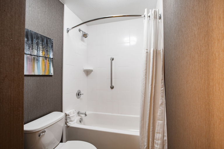 Bathroom 5, The Burgundy Hotel, Tapestry Collection by Hilton, Pulaski