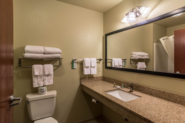 Bathroom 5, Cobblestone Hotel & Suites - Harborcreek, Erie