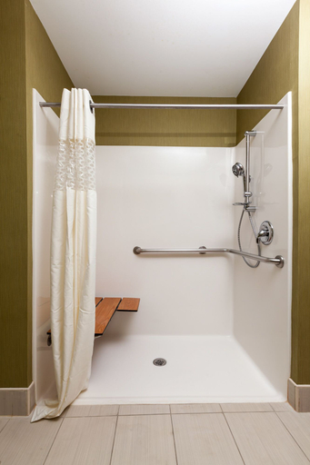 Bathroom 4, Hampton Inn Elkton, Cecil