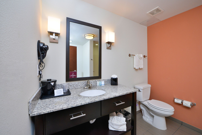 Bathroom 4, Sleep Inn & Suites Austin Northeast, Travis