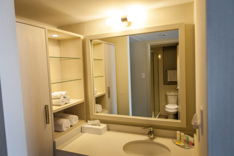 Bathroom 5, Quality Inn Corner Brook, Division No. 5