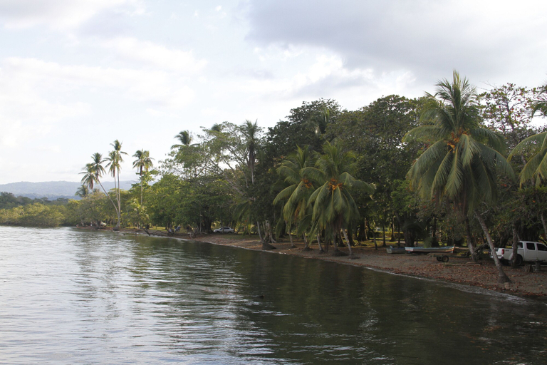Others 5, Cabinas Manawada, Golfito