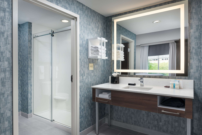 Bathroom 4, Hampton Inn & Suites Chattanooga/Downtown, Hamilton