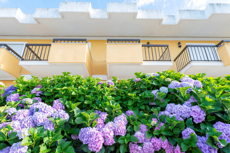 Exterior & Views 2, D. Afonso Hotel & SPA, Leiria