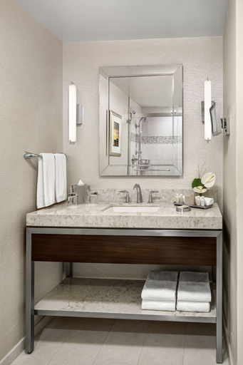 Bathroom 3, The Statler Hotel at Cornell University, Tompkins