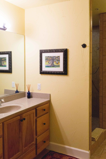 Bathroom 4, High Cotton Inn, Comal