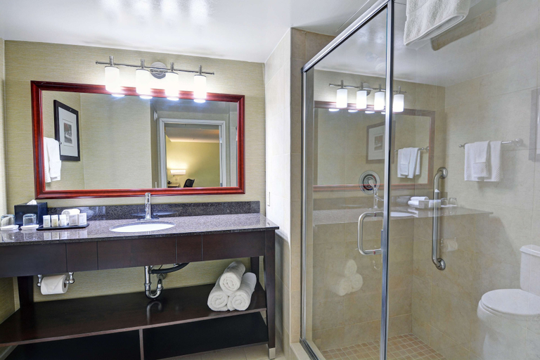 Bathroom 4, Embassy Suites by Hilton Valencia, Los Angeles