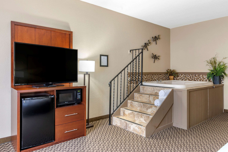 Others 5, Comfort Inn & Suites Blue Ridge, Fannin