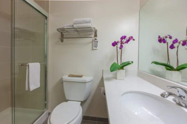 Bathroom 4, Grant Plaza Hotel, San Francisco