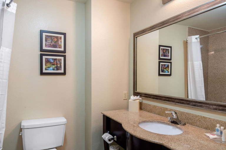 Bathroom 4, Comfort Inn & Suites Cedar Hill Duncanville, Dallas