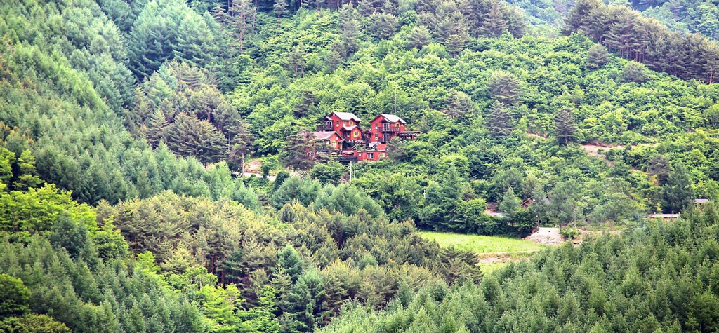 Camp Star Pension, Jeongseon